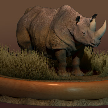 2014 Rhino