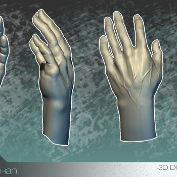 2014 Hand Study